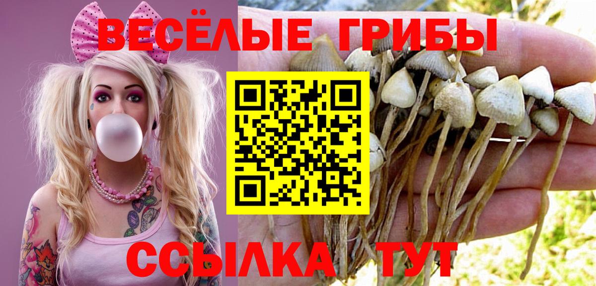 Галлюциногенные грибы Cubensis  Вход с VPN  хочу   Орёл 