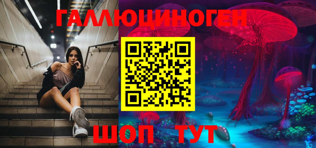 Псилоцибиновые грибы GOLDEN TEACHER Орёл