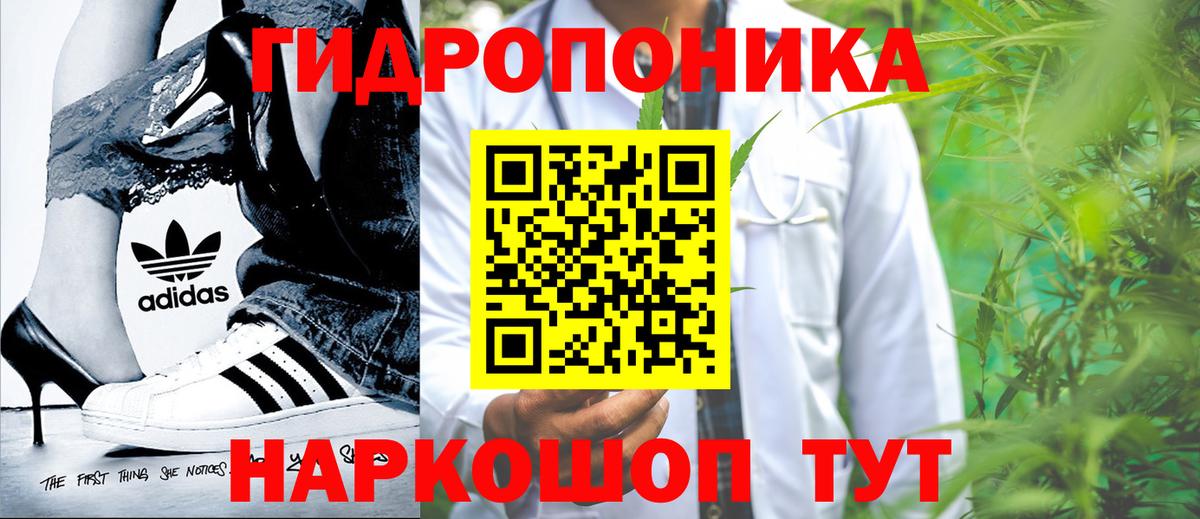 Бошки Шишки MAZAR  Вход с VPN  Орёл  МАРИХУАНА MAZAR  Бошки Шишки THC 21%  Шишки марихуана сатива 